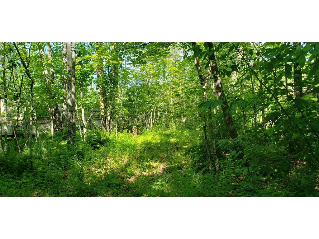 L 11 B 7 Little John Drive Hazelton Twp MN 56431 6350236 image1