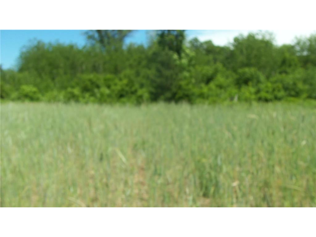 L0T 17 RED MAPLE LN Meenon Twp WI 54872 6580601 image4