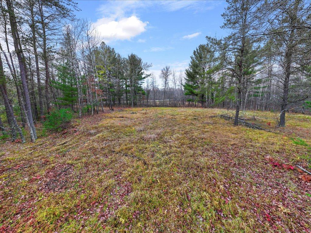 L1 B1 County Road 1 Pine River MN 56474 6810386 image8