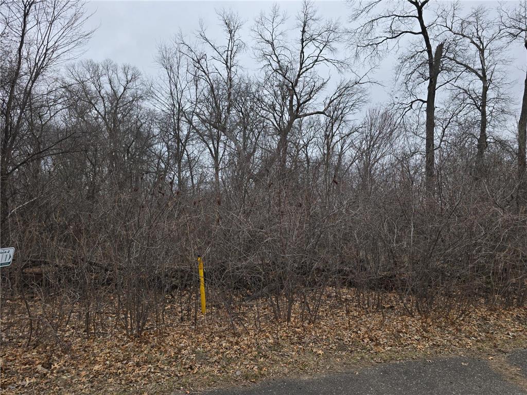 L1B2 288th Avenue NW Baldwin Twp MN 55398 7015751 image2