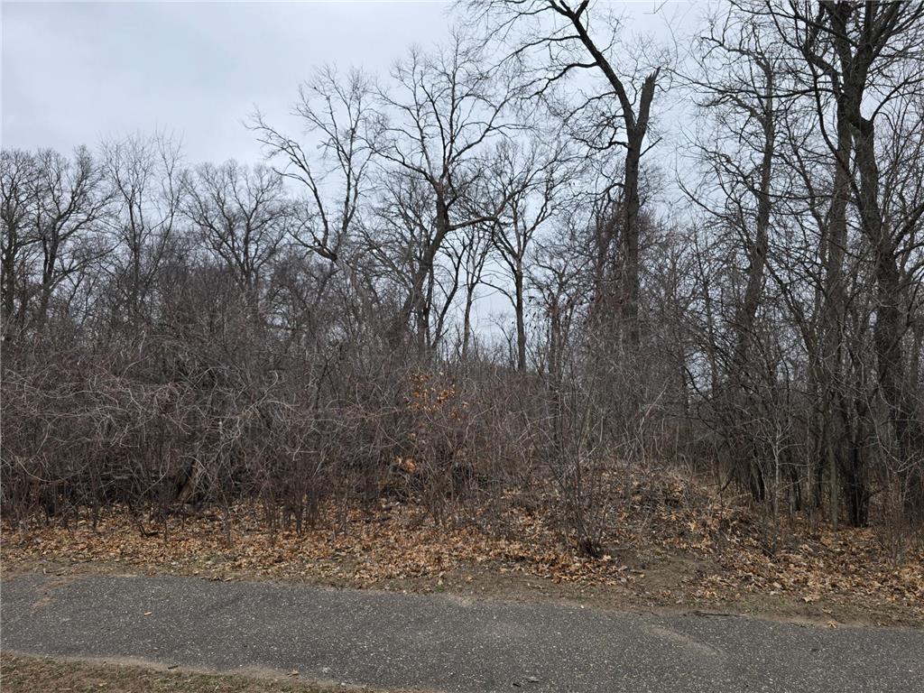 L1B2 288th Avenue NW Baldwin Twp MN 55398 7015751 image3