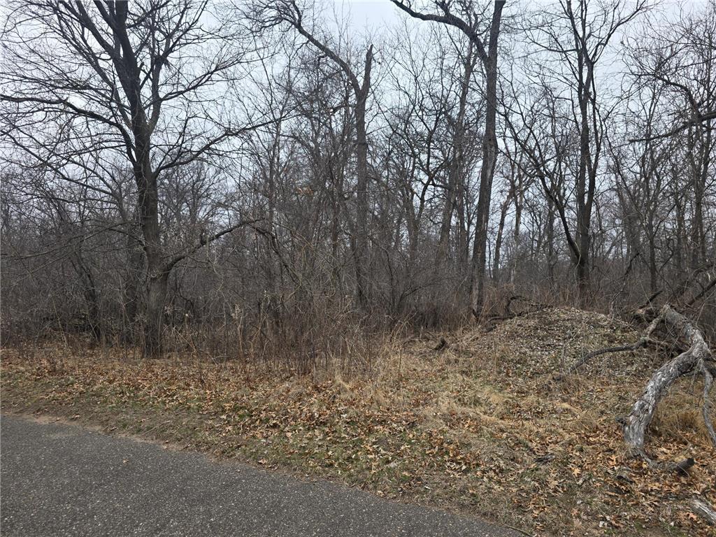 L1B2 288th Avenue NW Baldwin Twp MN 55398 7015751 image4
