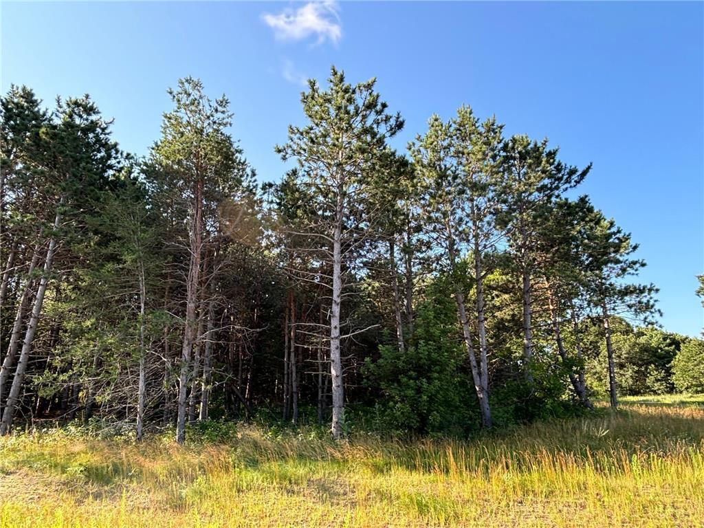 L1Blk2 262nd Avenue NW Orrock Twp MN 55309 6583959 image1