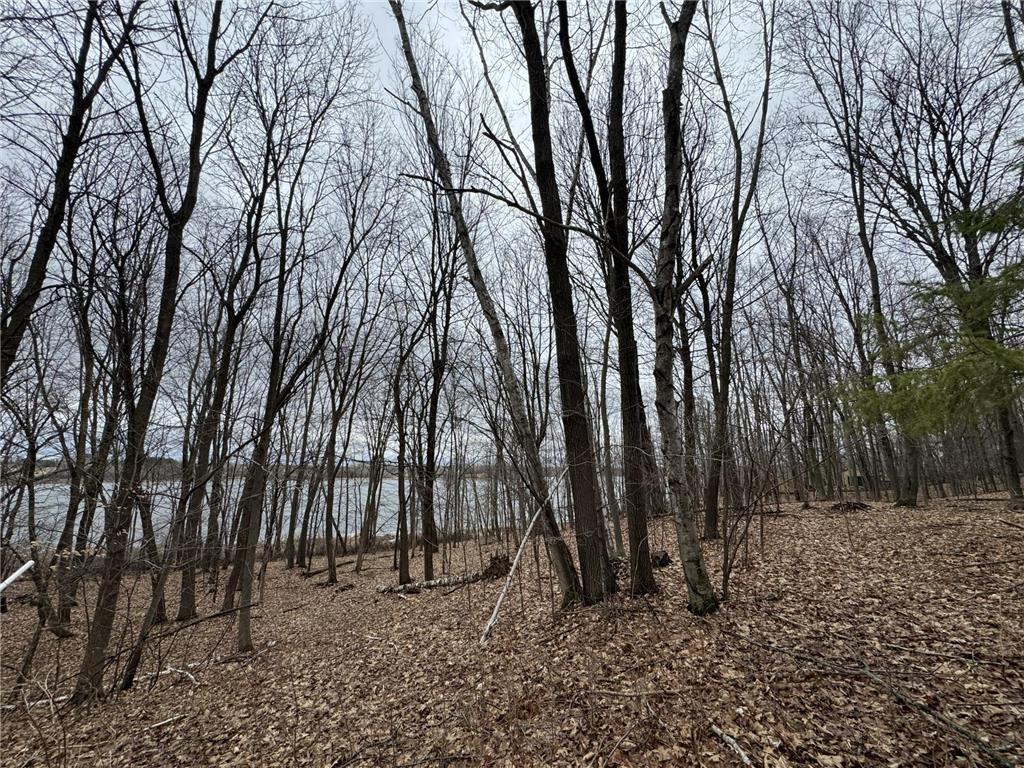 L1 Crescent Road Fish Lake Twp MN 55032 - Horseshoe Lake 7040397 image7