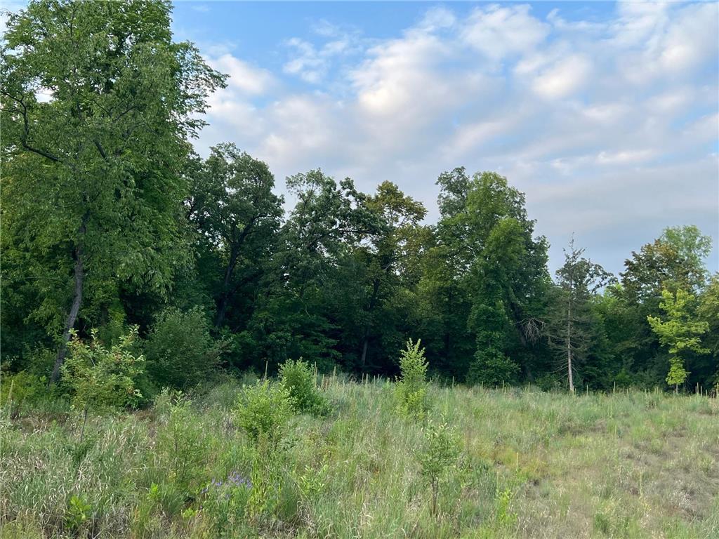 L10 B1 54th Street SE Clear Lake MN 55319 6343386 image1