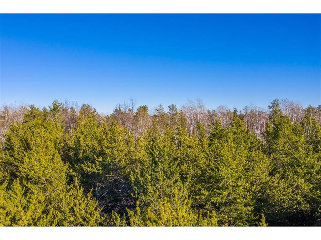 L10 B1 Meadow Court Baxter MN 56425 6446319 image11