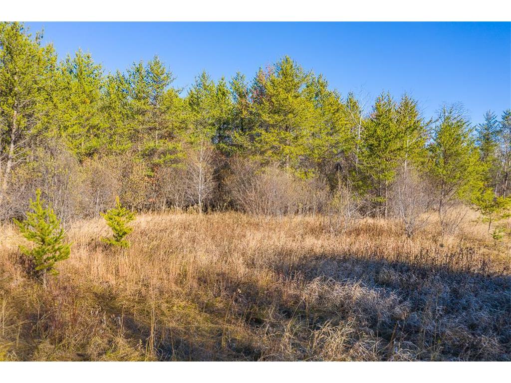 L10 B1 Meadow Court Baxter MN 56425 6446319 image9
