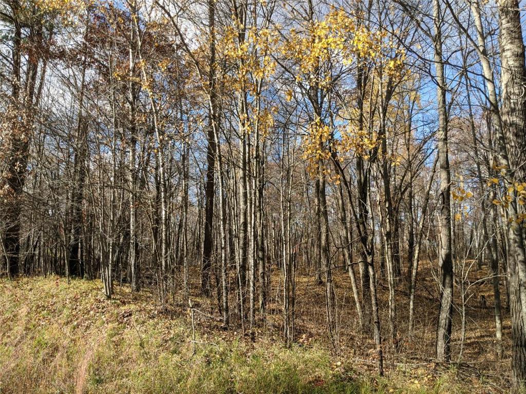 L10 B17 Green Scene Drive Breezy Point MN 56472 7061600 image11