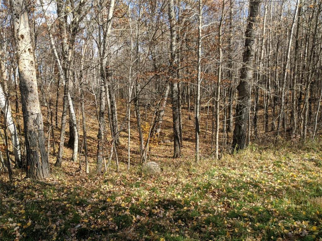 L10 B17 Green Scene Drive Breezy Point MN 56472 7061600 image4