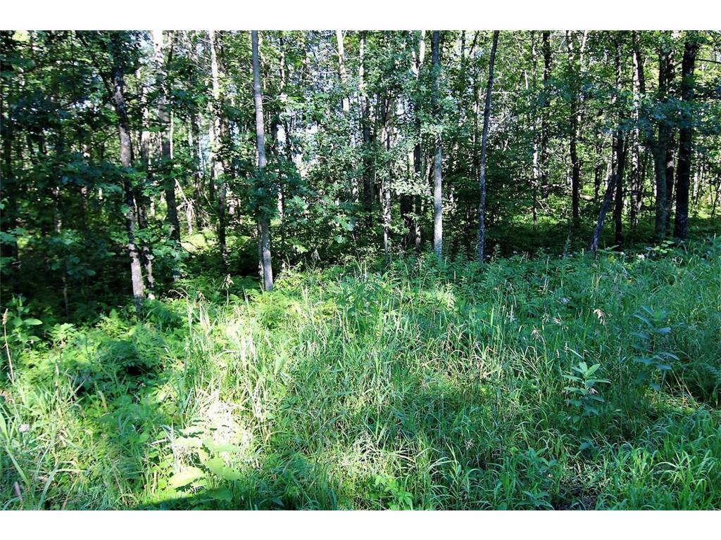 L10 B2 WB15 White Overlook Drive Breezy Point MN 56472 6246699 image1
