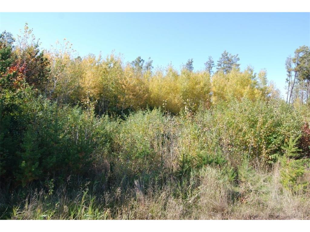 L11 B1 Meadow Court Baxter MN 56425 6446320 image15