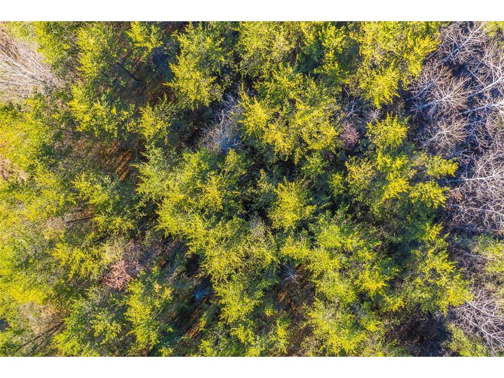 L12 B1 Meadow Court Baxter MN 56425 6446321 image10