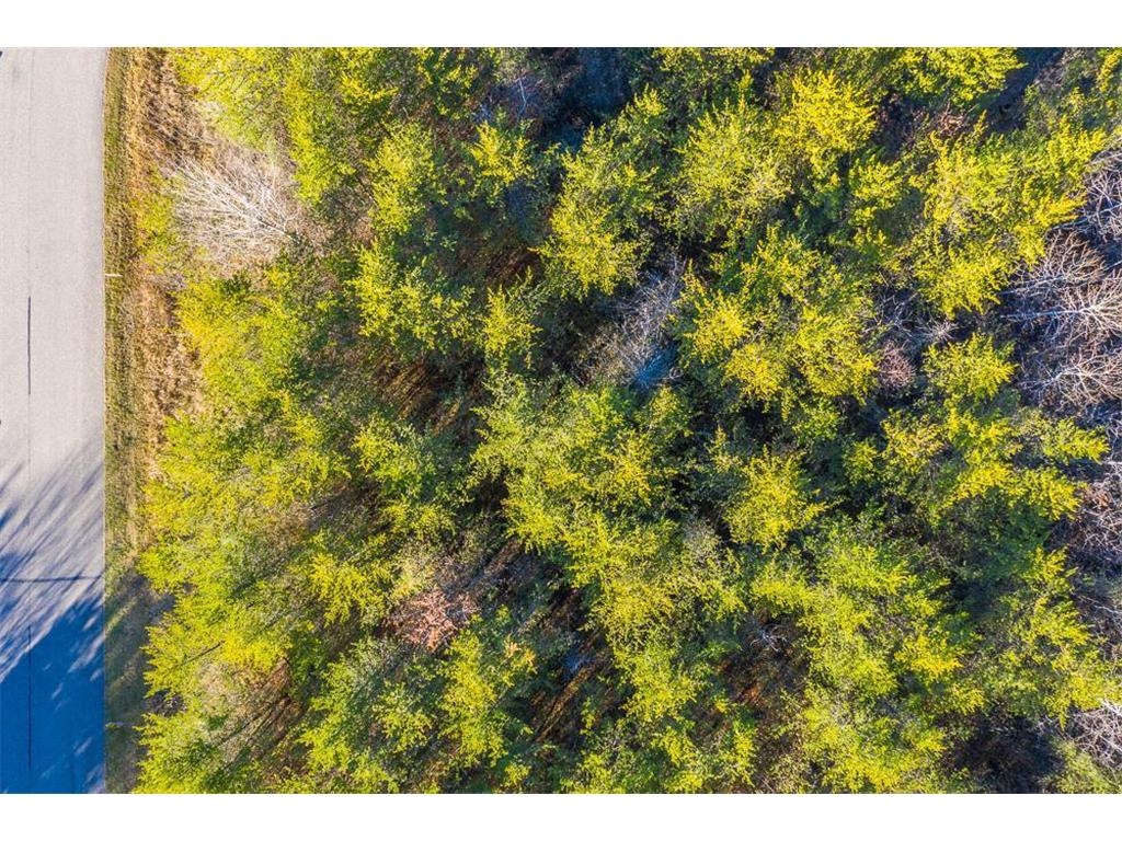 L12 B1 Meadow Court Baxter MN 56425 6446321 image12