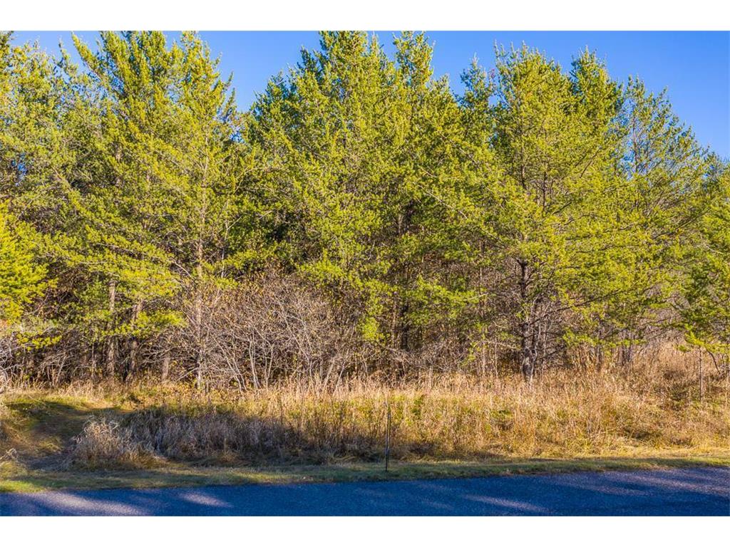 L12 B1 Meadow Court Baxter MN 56425 6446321 image5