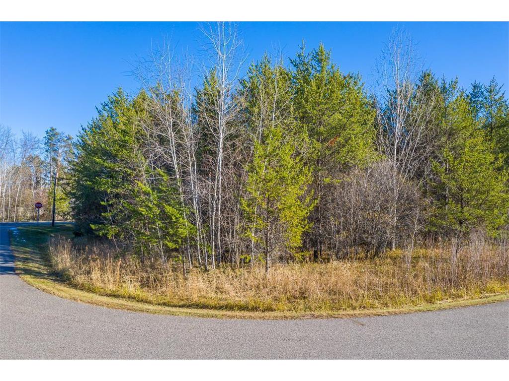 L13 B1 Meadow Court Baxter MN 56425 6446322 image11