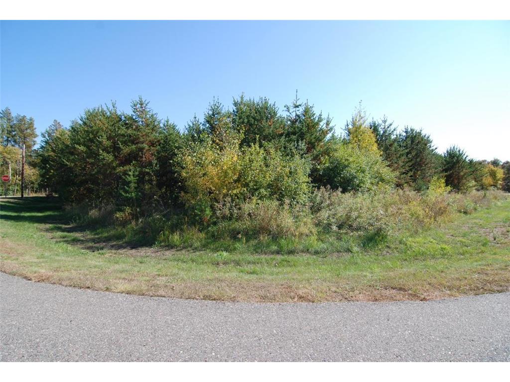 L13 B1 Meadow Court Baxter MN 56425 6446322 image5