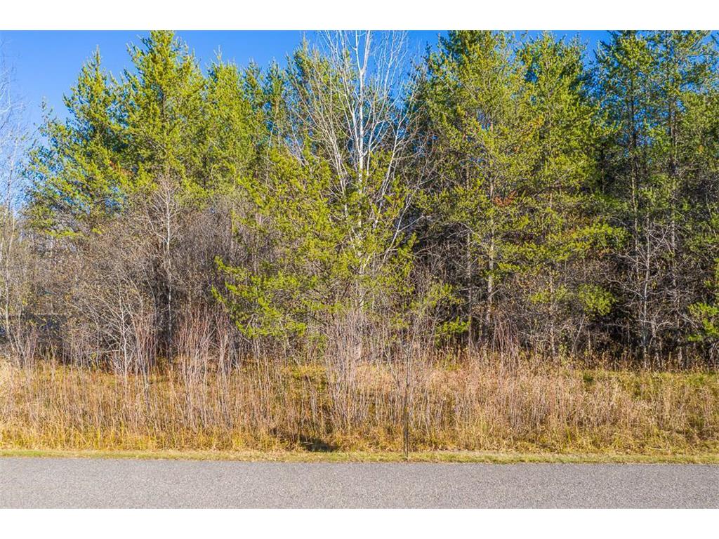 L13 B1 Meadow Court Baxter MN 56425 6446322 image7