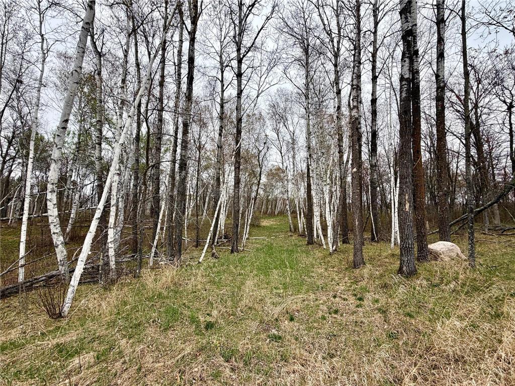 L17B1 Acorn Ridge Road NW Bemidji MN 56601 7078023 image2