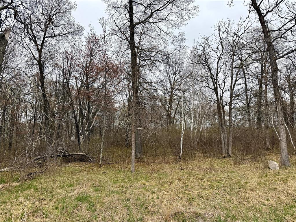L17B1 Acorn Ridge Road NW Bemidji MN 56601 7078023 image3