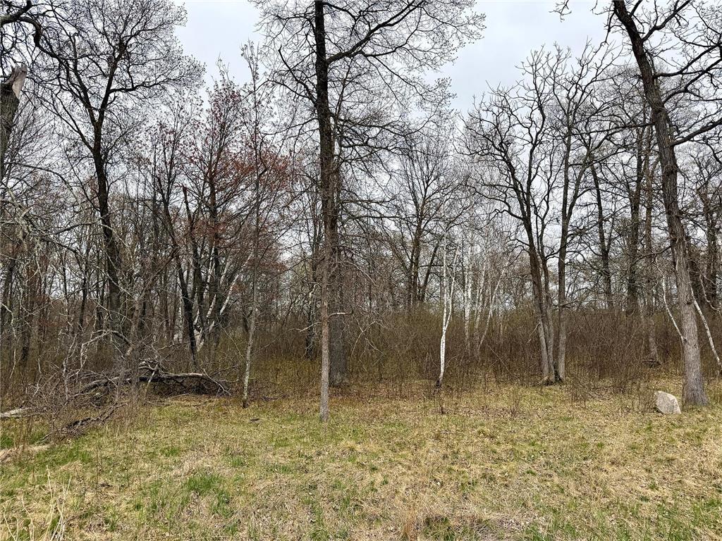 L18B1 Acorn Ridge Road NW Bemidji MN 56601 7078132 image1