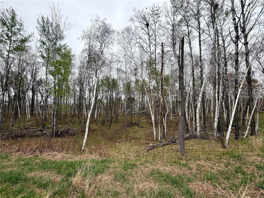 L18B1 Acorn Ridge Road NW Bemidji MN 56601 7078132 image3