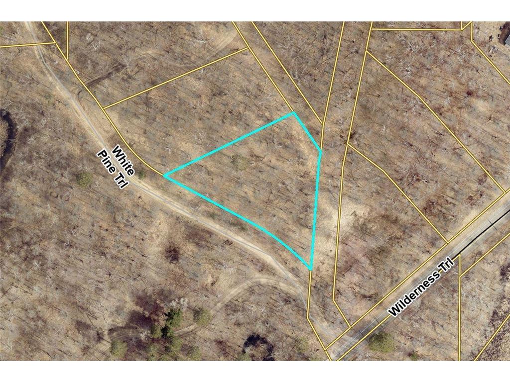 L1B1 Shady Lane Crosslake MN 56442 6693235 image3