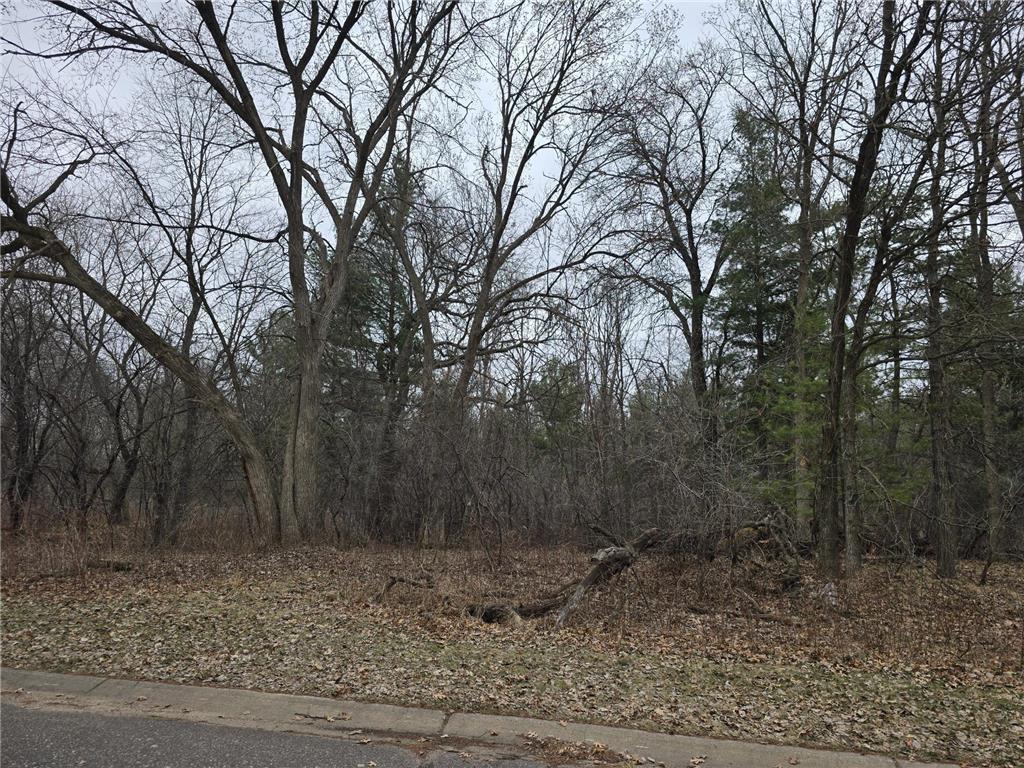 L2B1 131st Street NW Baldwin Twp MN 55398 7052962 image1