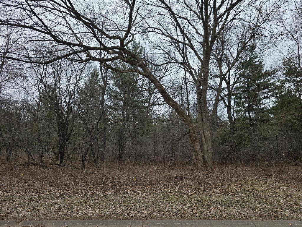 L2B1 131st Street NW Baldwin Twp MN 55398 7052962 image2