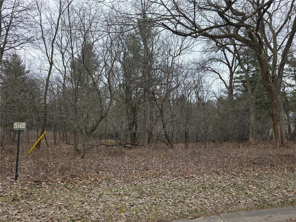 L2B1 131st Street NW Baldwin Twp MN 55398 7052962 image3