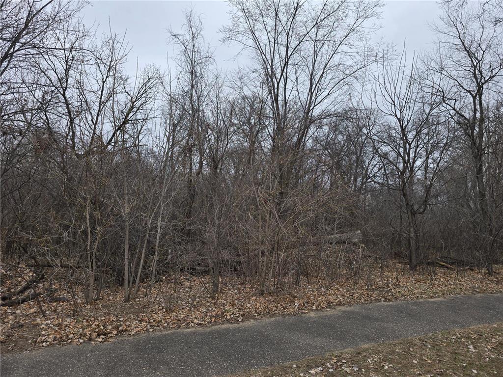 L2B2 288th Avenue NW Baldwin Twp MN 55398 7052581 image1