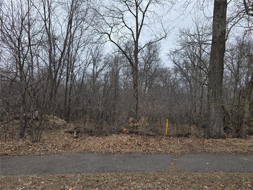 L2B2 288th Avenue NW Baldwin Twp MN 55398 7052581 image2