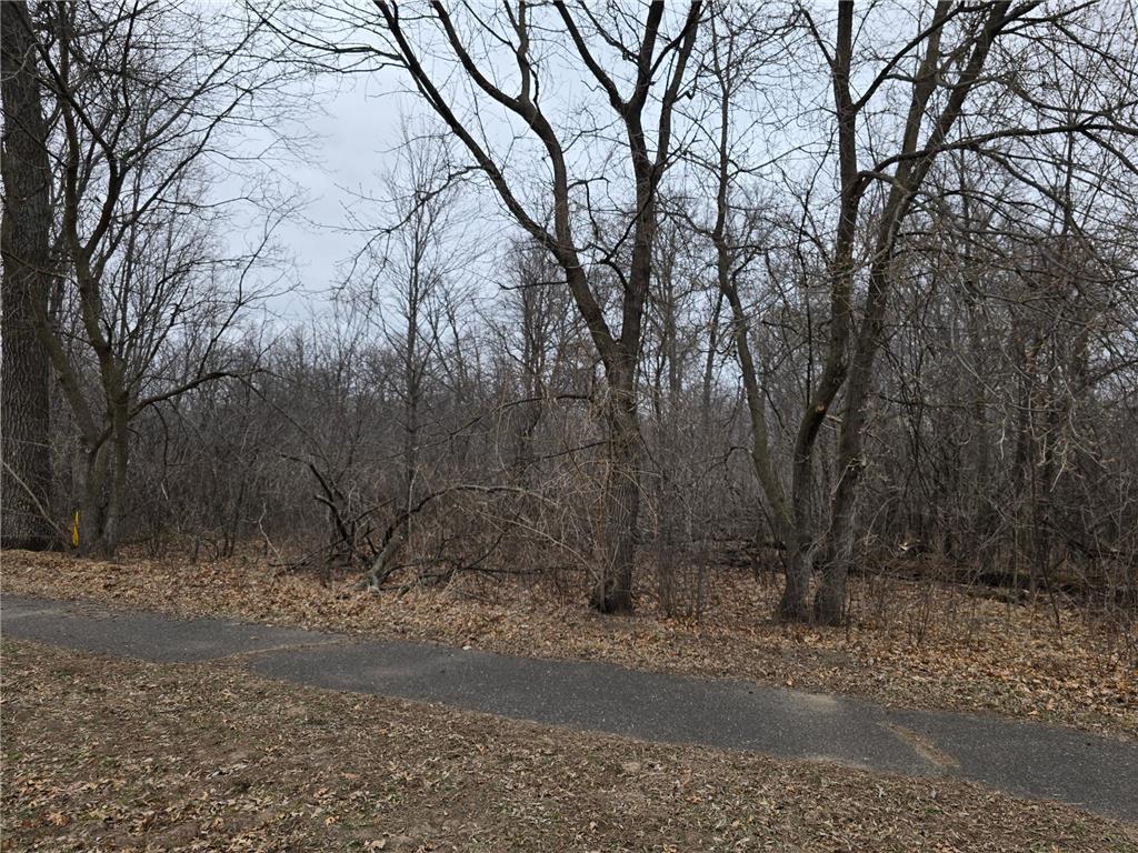 L2B2 288th Avenue NW Baldwin Twp MN 55398 7052581 image3