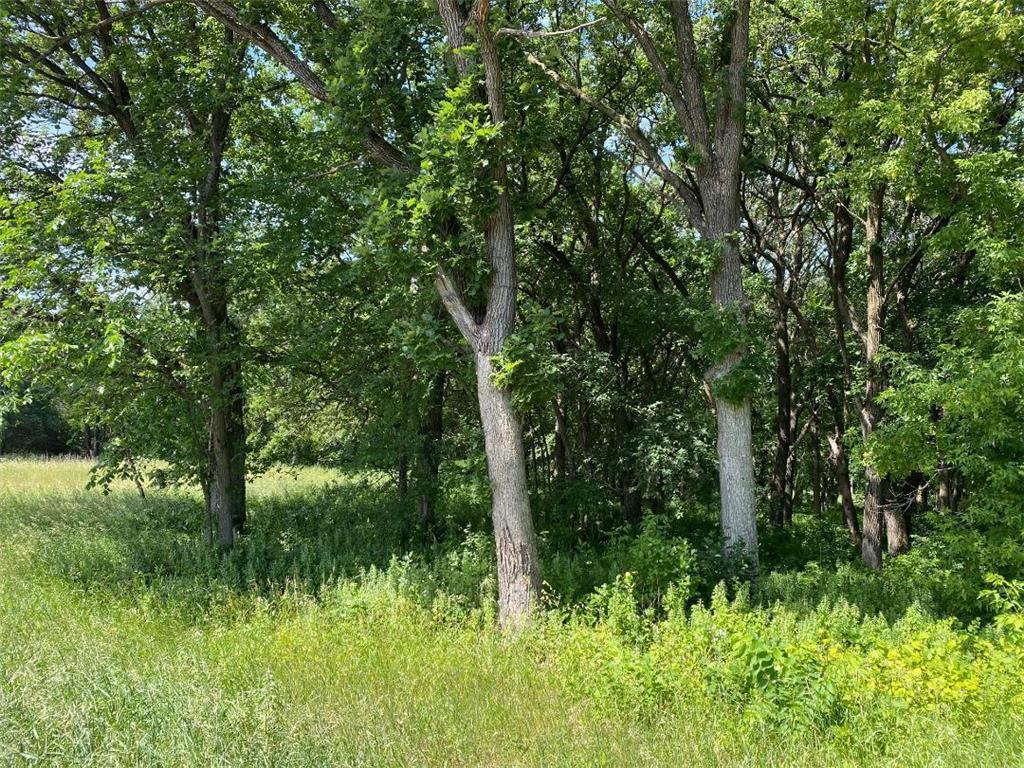 L2 B2 54th Street SE Clear Lake MN 55319 - Rush 6435902 image1