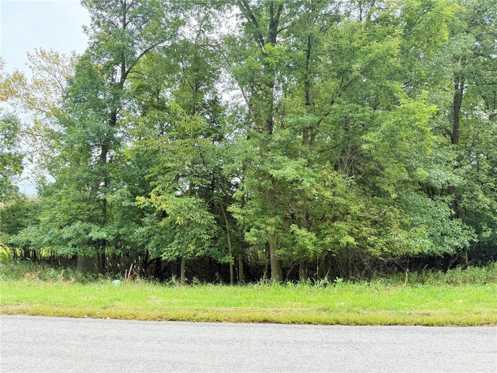 L2 B2 83rd Street NE Spicer MN 56288 6785749 image16