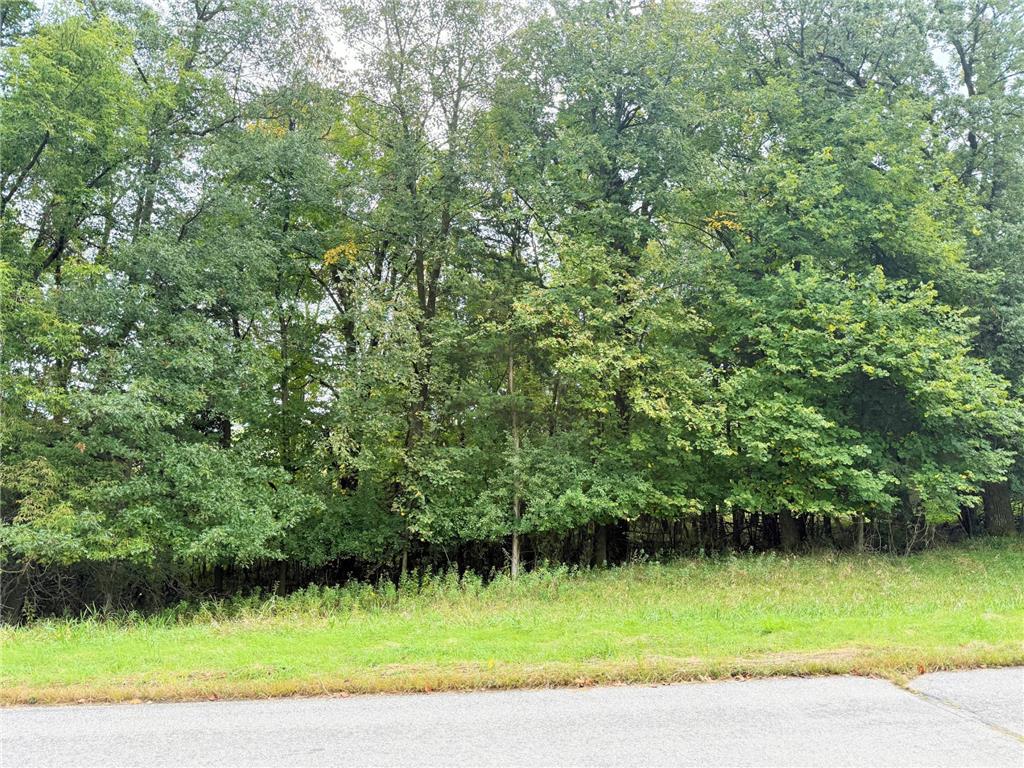 L2 B2 83rd Street NE Spicer MN 56288 6785749 image18