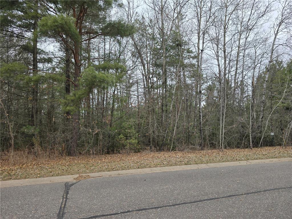 L2B4 131st Avenue NW Baldwin Twp MN 55398 7052937 image1