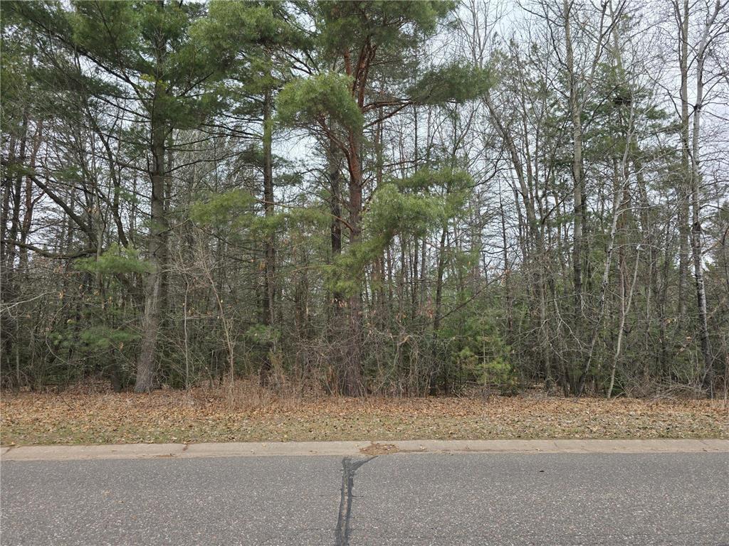 L2B4 131st Avenue NW Baldwin Twp MN 55398 7052937 image2