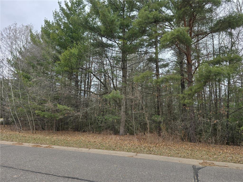 L2B4 131st Avenue NW Baldwin Twp MN 55398 7052937 image3