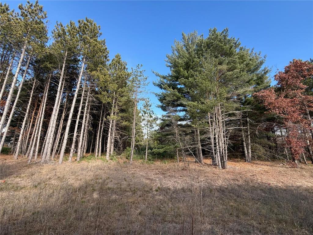 L2Blk1 262nd Avenue NW Orrock Twp MN 55309 6816582 image1