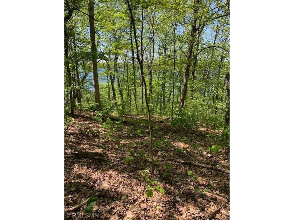 L21B3 Eagle Ridge Road, Rabbit Lake Twp, MN, 56431 MLS 6213156