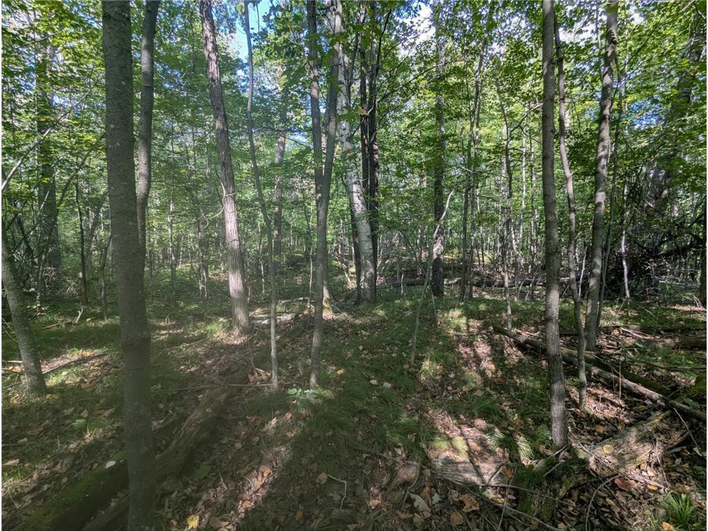 L23 B32 Shady Trail Breezy Point MN 56472 7061616 image11