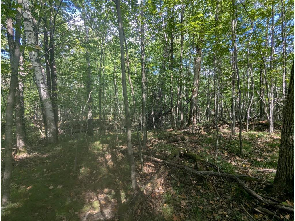 L23 B32 Shady Trail Breezy Point MN 56472 7061616 image12