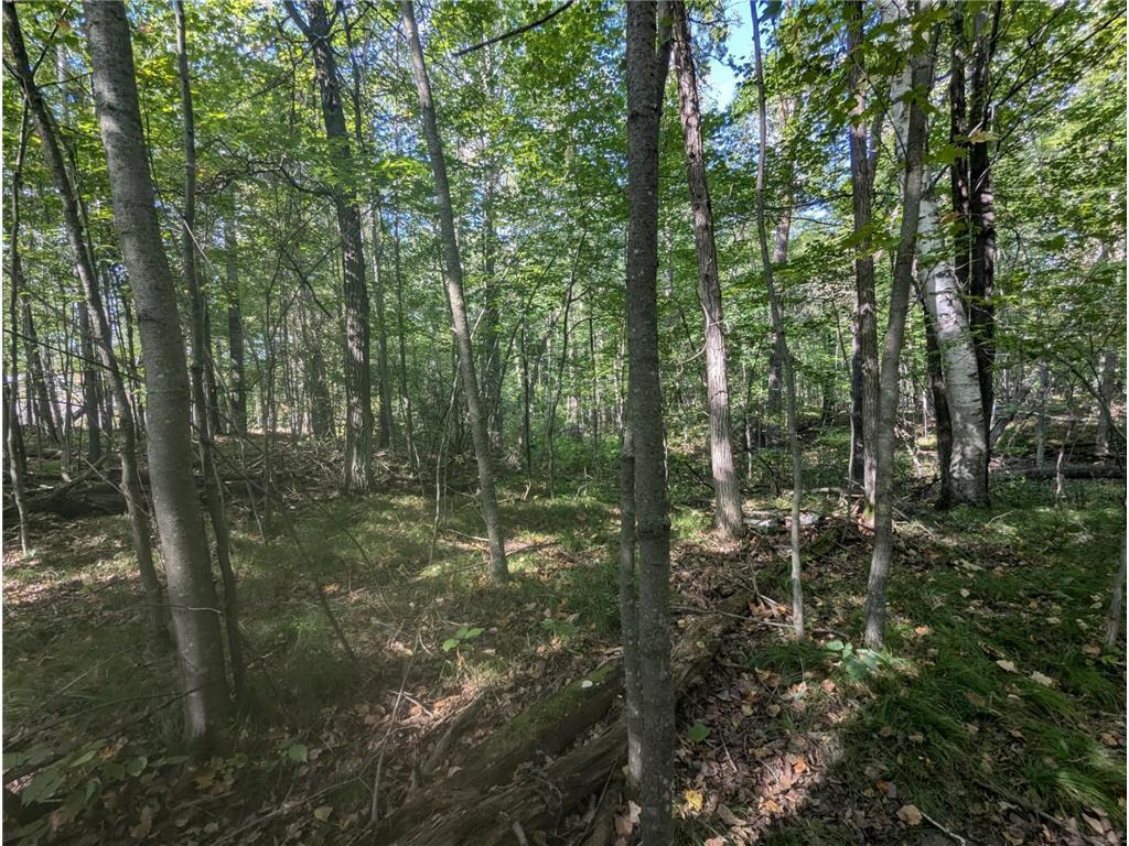 L23 B32 Shady Trail Breezy Point MN 56472 7061616 image13