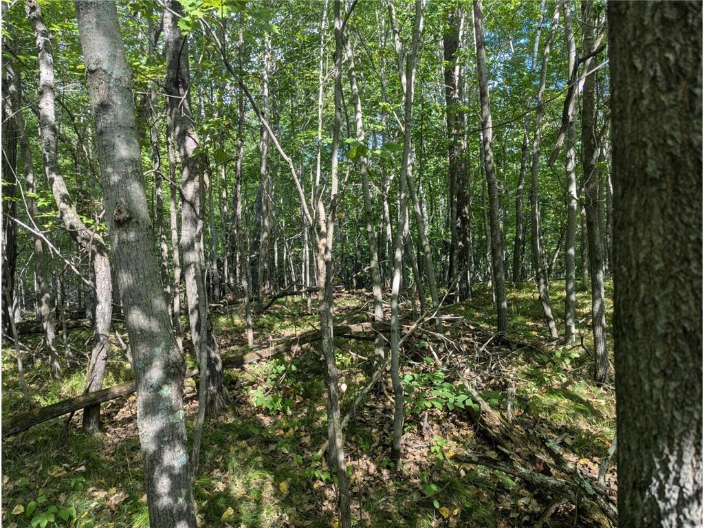 L23 B32 Shady Trail Breezy Point MN 56472 7061616 image19