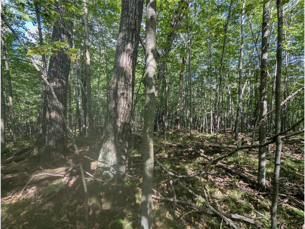 L23 B32 Shady Trail Breezy Point MN 56472 7061616 image21