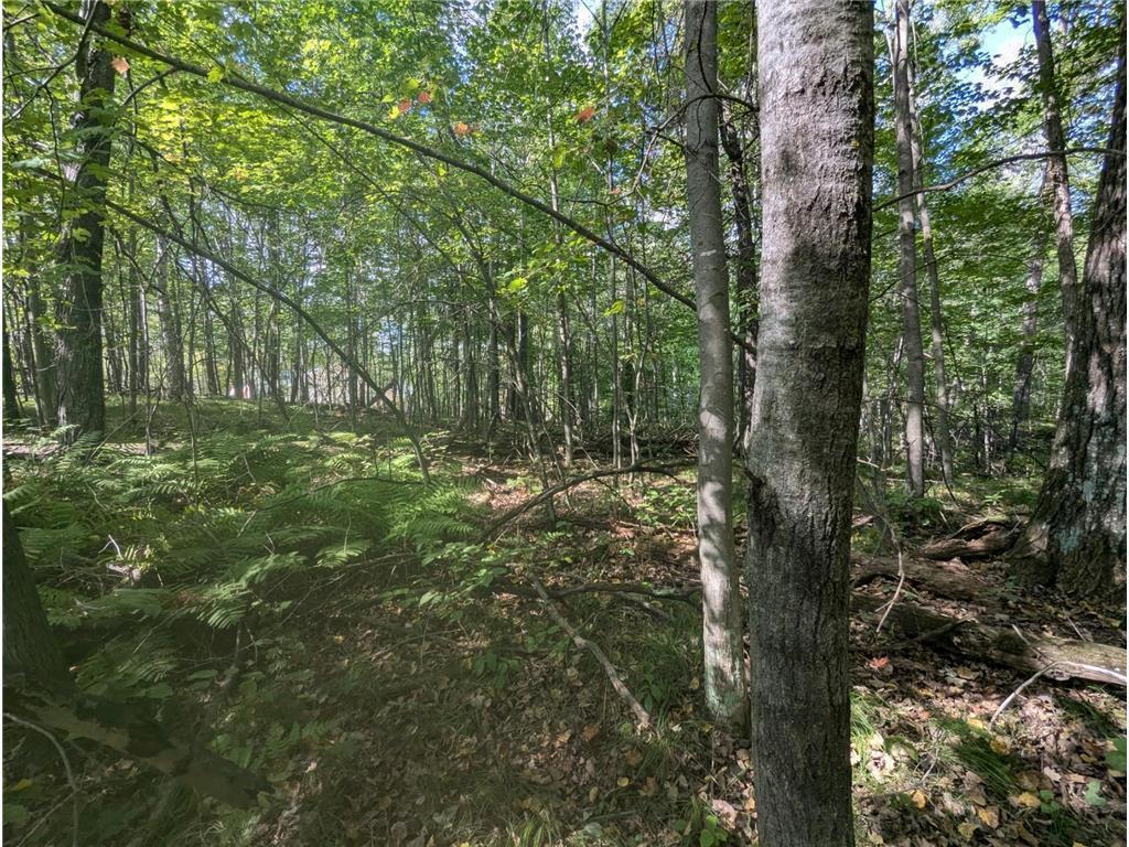 L23 B32 Shady Trail Breezy Point MN 56472 7061616 image23