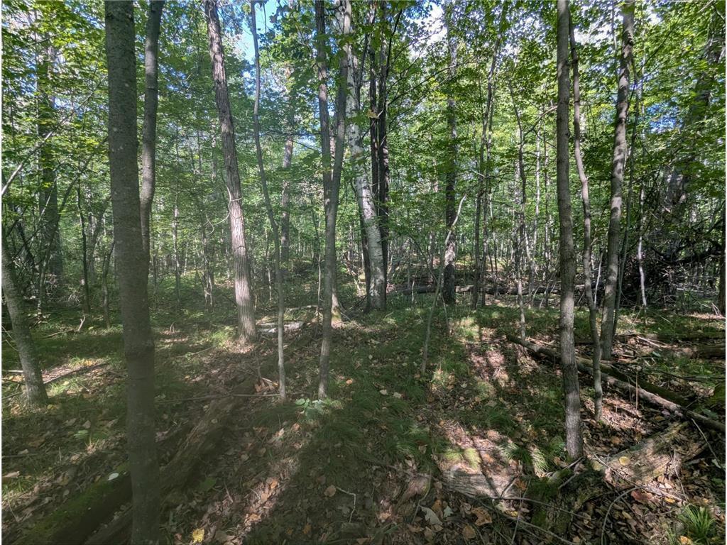 L23 B32 Shady Trail Breezy Point MN 56472 7061616 image24
