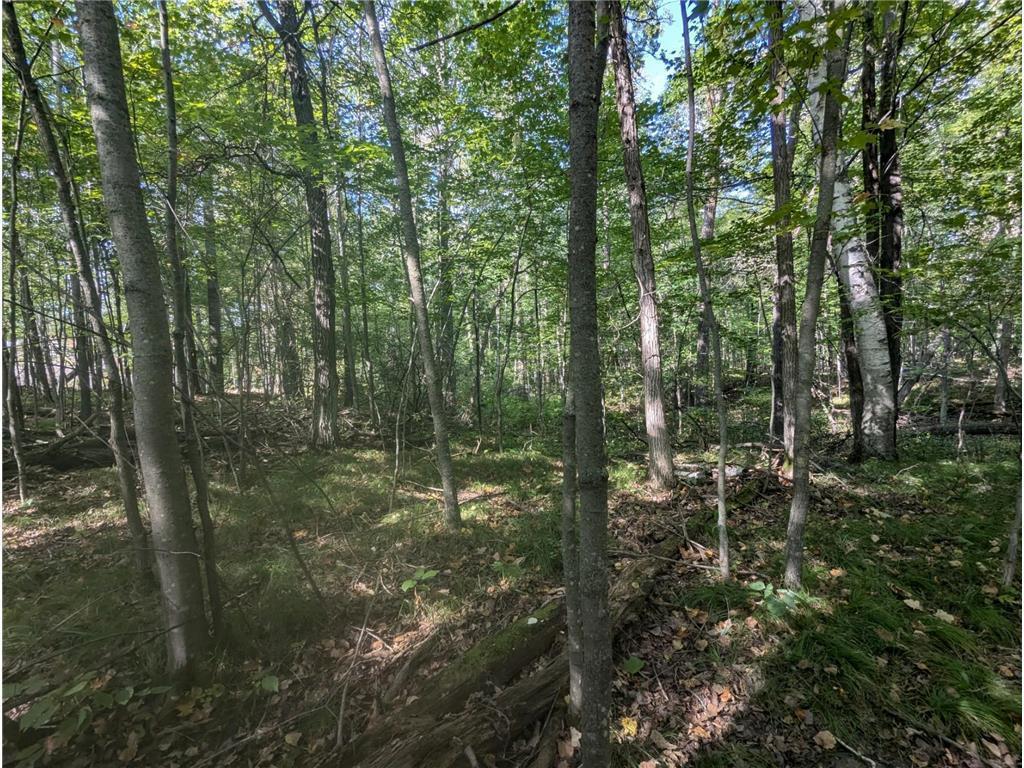 L23 B32 Shady Trail Breezy Point MN 56472 7061616 image26