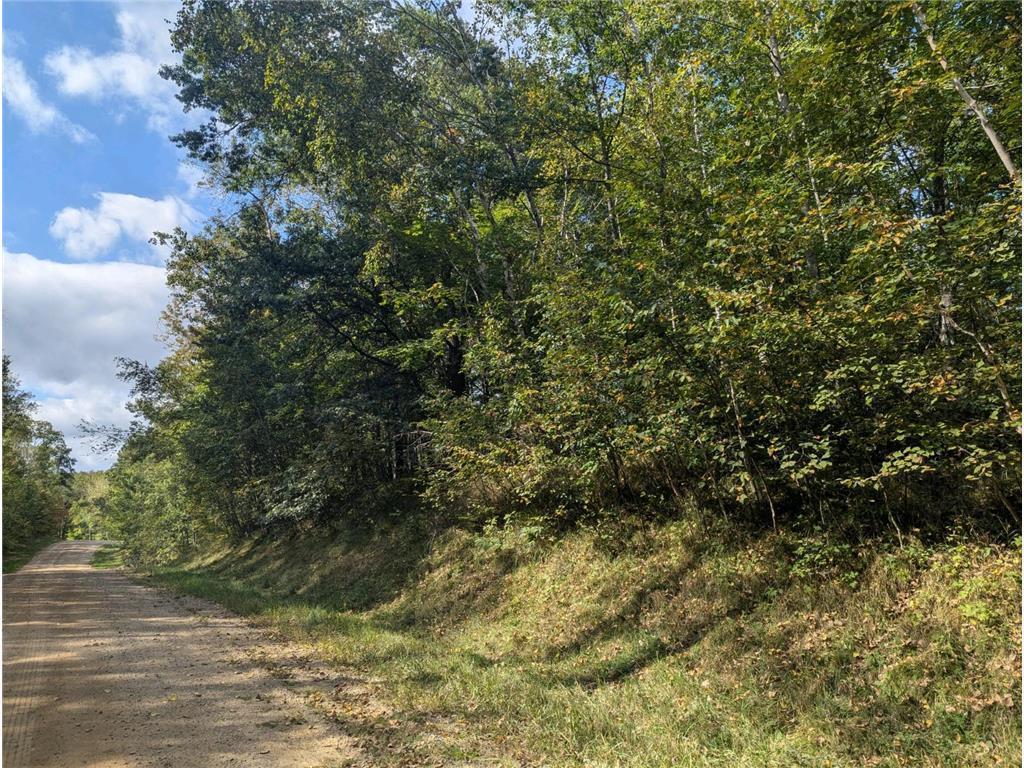 L23 B32 Shady Trail Breezy Point MN 56472 7061616 image3