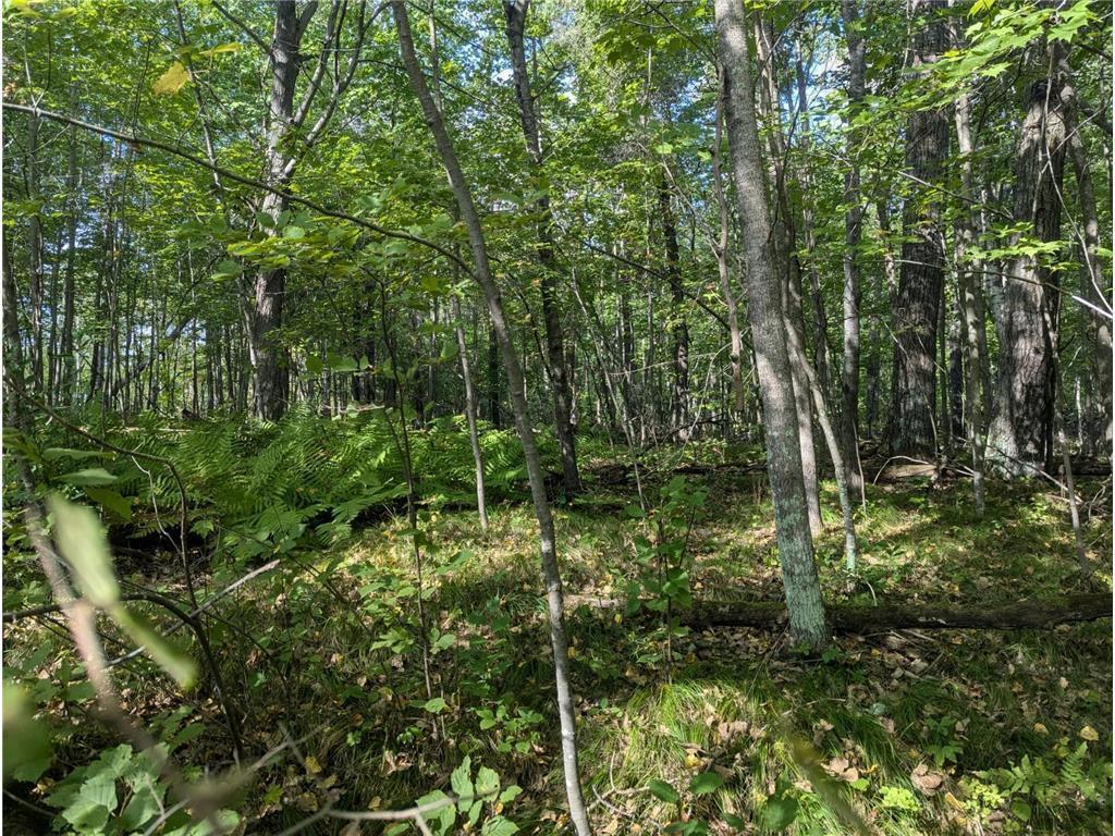 L23 B32 Shady Trail Breezy Point MN 56472 7061616 image5
